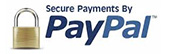 secure payments by paypal